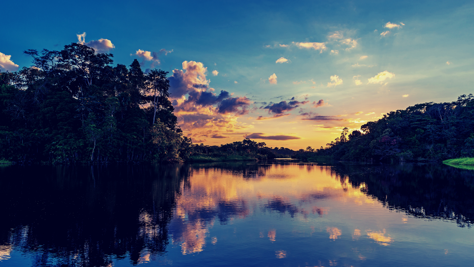 Imagem da Amazônia, com rio ao centro, vegetação de floresta ao redor.