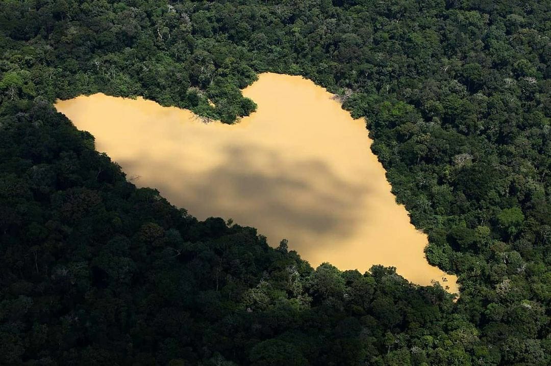 Imagem aérea da Amazônia com braço de água formando coração em meio ao verde da floresta